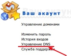  DNS  DirectAdmin