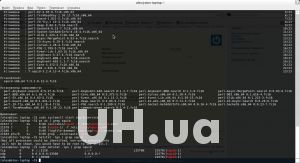 Прокси-сервер Squid 3.2 облегчит подключение к выделенному серверу и  упростит работу с vps хостингом