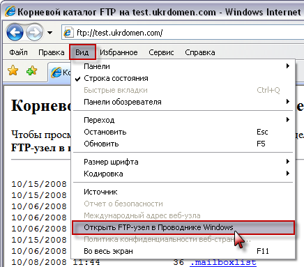 Шаг 3: настройка FTP-клиента через IE